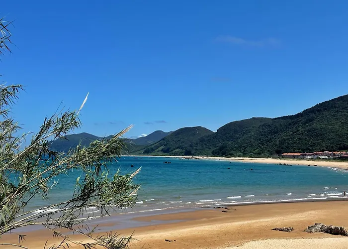 El Camarote - 6019 *